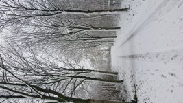 20171210_135049.jpg