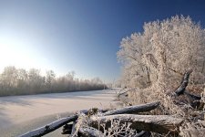 B142E58277AC0020ED2AE1CD65F72817-winter-in-holland.jpg