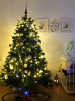 Kerstboom.jpg