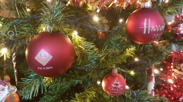 20181130_152757.jpg