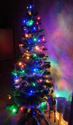 20181205_224106-1.jpg