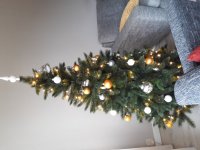 20181207_122205.jpg