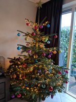 IMG_20181209_104932.jpg