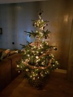 IMG-20181209-WA0010.jpg