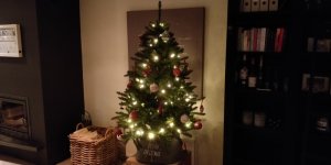 IMG_20181211_212358.jpg