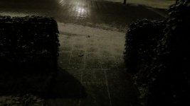 IMG_7990.jpg
