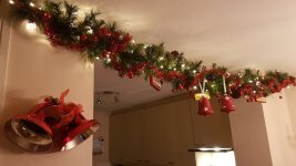 20181201_202542.jpg