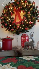 20181222_115330.jpg