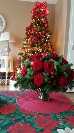 20181222_120622.jpg