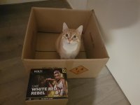 20181228_032424.jpg