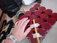 IMG_20181231_125029.jpg