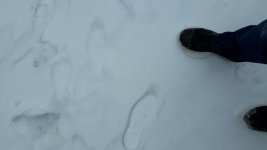20190122_143108.jpg