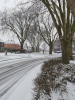 Sneeuw.jpg