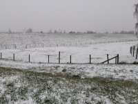 Sneeuw 1.jpg