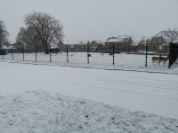 Sneeuw 6.jpg