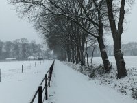 20190122_181328.jpg