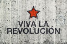 37667522-viva-la-revolucion-graffiti-on-gray-cement-street-wall-revolution-concept-.jpg