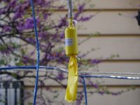 DSC05674.jpg