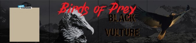 Design_Black_Vulture.jpg