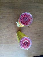 IMG_20190808_154331.jpg
