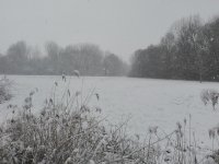 IMG_20190122_160606.jpg