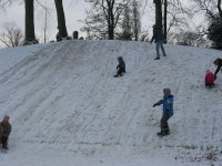 IMG_4203.jpg