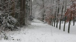 IMG_8107.jpg
