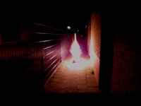 My Snapshot_7.jpg