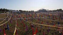 20190921_170152(0).jpg