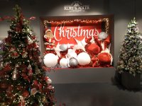 IMG_20191009_155911.jpg
