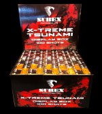 xtreme-tsunami.jpg