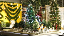 IMG_0061.jpg