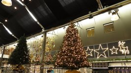 IMG_0064.jpg