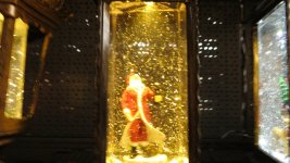 IMG_0065.jpg