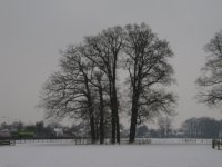 IMG_2653.jpg