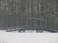 IMG_2657.jpg