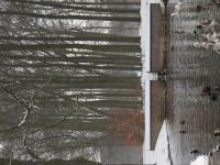 IMG_2676.jpg