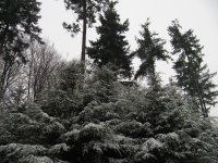 IMG_2690.jpg