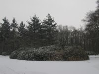 IMG_2694.jpg