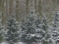 IMG_2704.jpg
