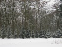 IMG_2705.jpg