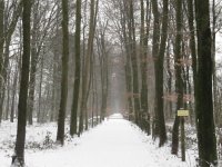 IMG_2707.jpg