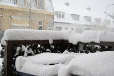 DSC_1066.jpg