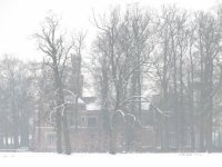 IMG_2717.jpg