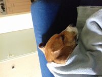 20191028_140505.jpg