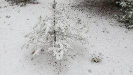 IMG_8081.jpg