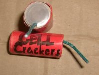 cell.jpg