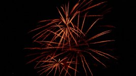 IMG_1593.jpg