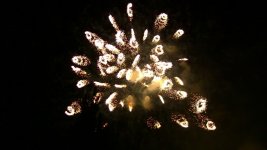IMG_1625.jpg