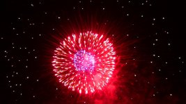 IMG_1660.jpg